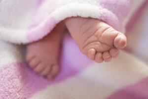初心者がセミナー申込で迷う時の比較ポイントは？