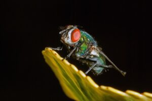 退場回避のために知っておくべき10箇条のルールとは？